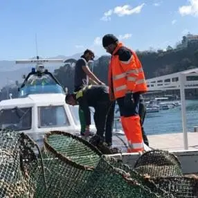 Sequestri e denunce: serrati controlli della Guardia Costiera