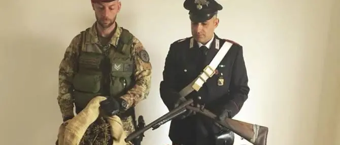 Oltre 13 chili di marijuana, sequestri nel Reggino