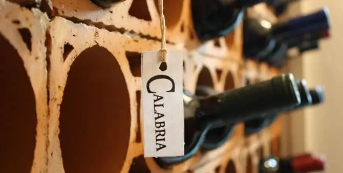 Al Vinitaly di Verona le origini vitivinicole della Calabria - VIDEO