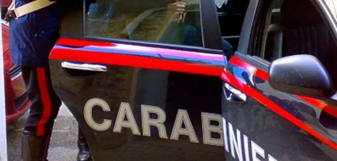 Piana di Gioia, un arresto e sette denunce dei Carabinieri