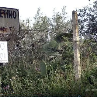 L'inferno di San Pietro Lametino. I cittadini puntano il dito: «Colpa dei rom» - VIDEO
