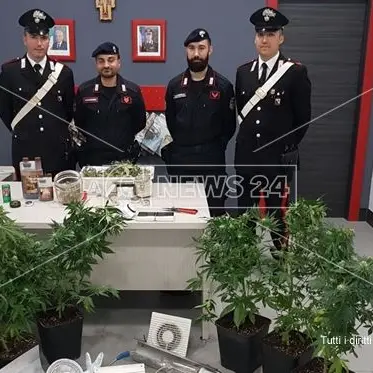 Marijuana coltivata nel sottotetto, un arresto a Crosia