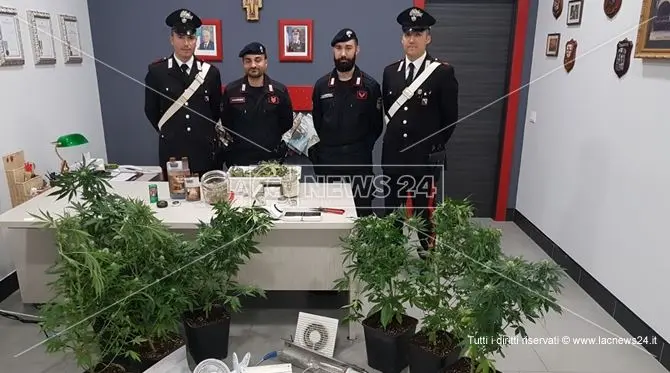 Marijuana coltivata nel sottotetto, un arresto a Crosia