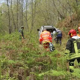 Taglia un albero ma viene travolto, un ferito a Torre di Ruggiero