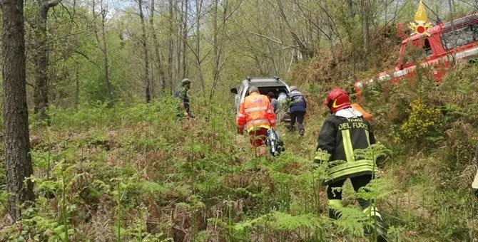 Taglia un albero ma viene travolto, un ferito a Torre di Ruggiero