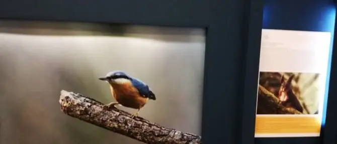 Il Parco dell’Aspromonte “in mostra” al Museo di Reggio: oltre 6 mila visite