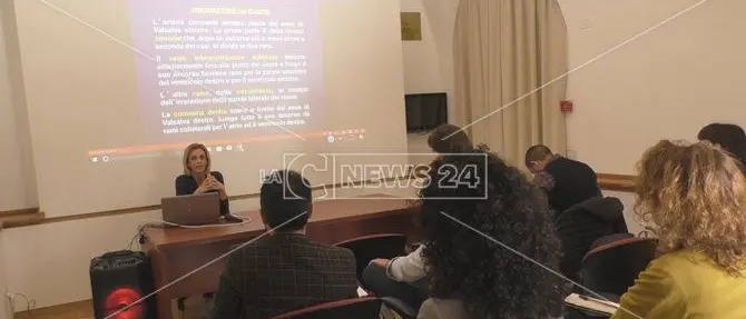 Catanzaro, alta formazione al San Giovanni: il progetto prende quota - VIDEO