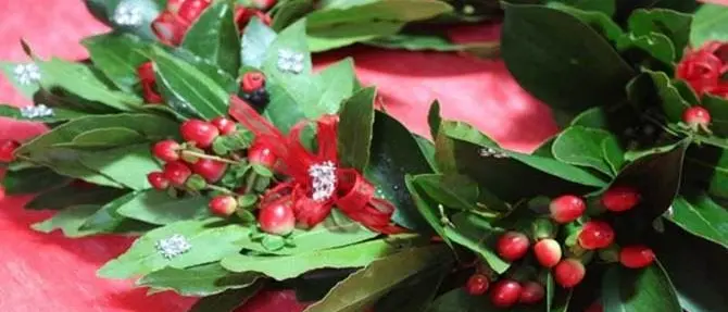 La tesi di laurea copiata all'Unical e il ruolo della docente assenteista