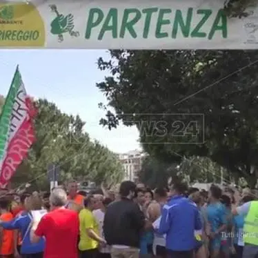 Reggio Calabria “invasa” dai cigni verdi di Legambiente - VIDEO