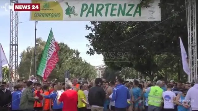 Reggio Calabria “invasa” dai cigni verdi di Legambiente - VIDEO