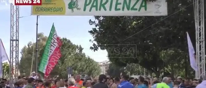 Reggio Calabria “invasa” dai cigni verdi di Legambiente - VIDEO