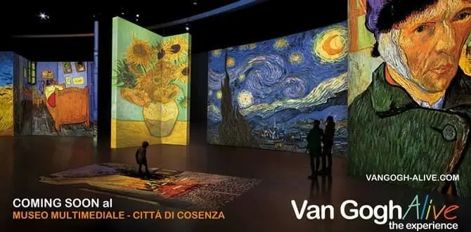 In Calabria la mostra su Van Gogh più visitata al mondo - VIDEO