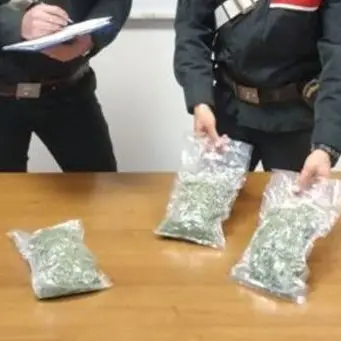 Fermati dai carabinieri gettano marijuana dal finestrino: arrestati