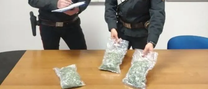 Fermati dai carabinieri gettano marijuana dal finestrino: arrestati