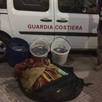 Pesca di frodo a Squillace, scatta la multa e il sequestro