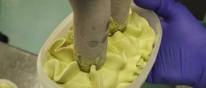 Al Cibus di Parma un gelato realizzato con le eccellenze agroalimentari calabresi