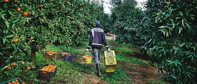 Rosarno: a otto anni dalla rivolta non è cambiato nulla
