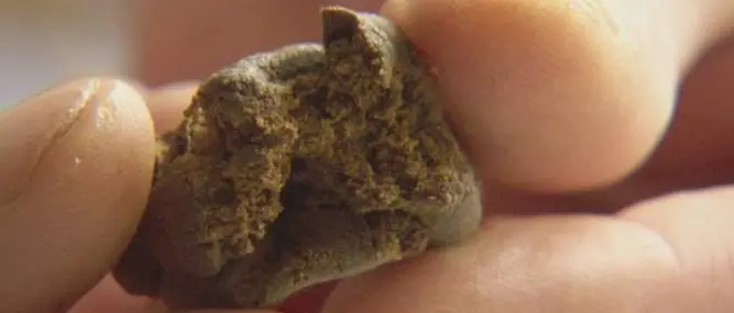 Hashish nascosta dietro l'autoclave, nei guai 40enne