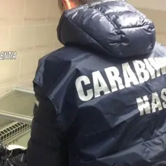 Studenti di Vibo intossicati, i Nas chiudono le cucine della pizzeria Giovanna