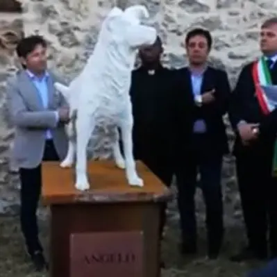 Cane torturato e ucciso a Sangineto, a Montepaone una statua per Angelo - VIDEO