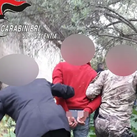 Sequestra, picchia e ruba l’auto ad anziano: scene da “Arancia meccanica” nel Vibonese - VIDEO