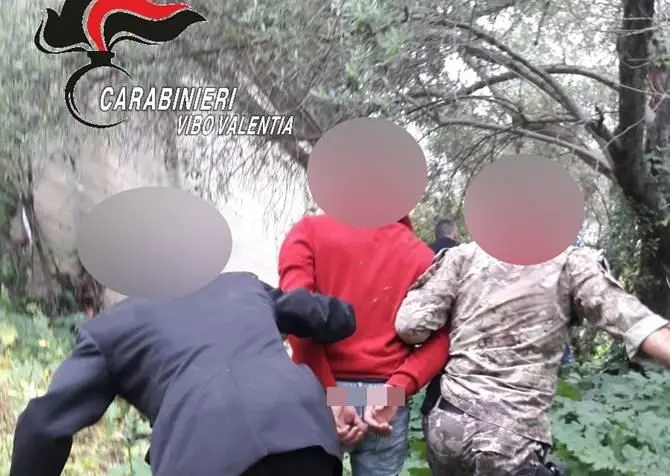 Sequestra, picchia e ruba l’auto ad anziano: scene da “Arancia meccanica” nel Vibonese - VIDEO