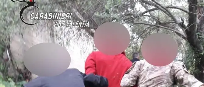 Sequestra, picchia e ruba l’auto ad anziano: scene da “Arancia meccanica” nel Vibonese - VIDEO