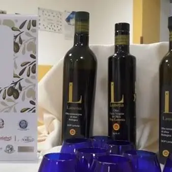 Lamezia, l'olio extravergine entra in classe - VIDEO