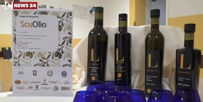 Lamezia, l'olio extravergine entra in classe - VIDEO