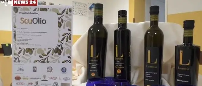 Lamezia, l'olio extravergine entra in classe - VIDEO