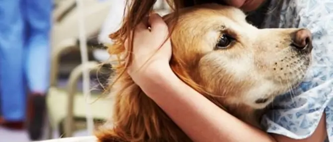 Animali in ospedale? Benefici per i pazienti