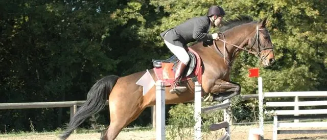 Concorso Ippico nel fine settimana al Parco dei Mulini di Catanzaro