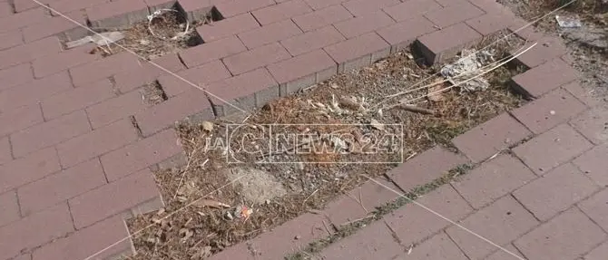 Mobilità, che impresa percorrere le piste ciclabili di Crotone!