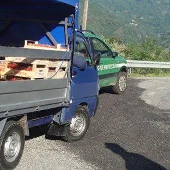 Taverna, trasporto e vendita di alimenti: sei sanzioni