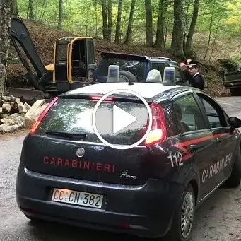 Disboscamento abusivo, sei denunce nel vibonese - VIDEO