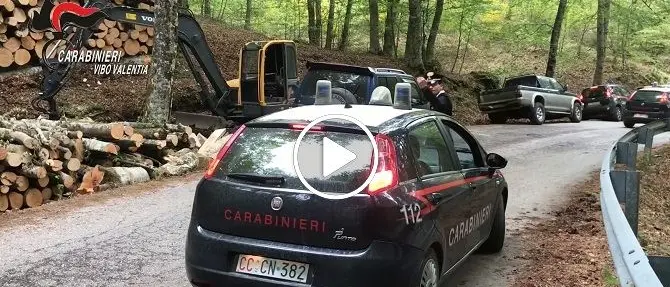 Disboscamento abusivo, sei denunce nel vibonese - VIDEO