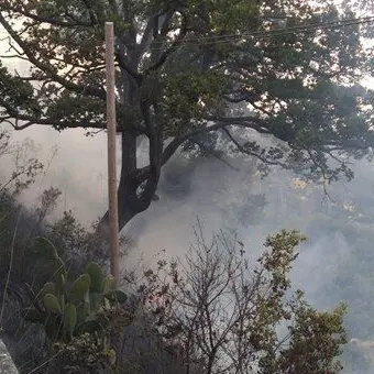 Incendio a Gimigliano minaccia il centro abitato