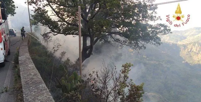 Incendio a Gimigliano minaccia il centro abitato