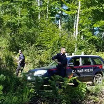 Catanzaro, si inoltrano nel bosco alla ricerca di funghi e si perdono