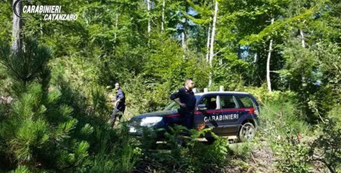 Catanzaro, si inoltrano nel bosco alla ricerca di funghi e si perdono