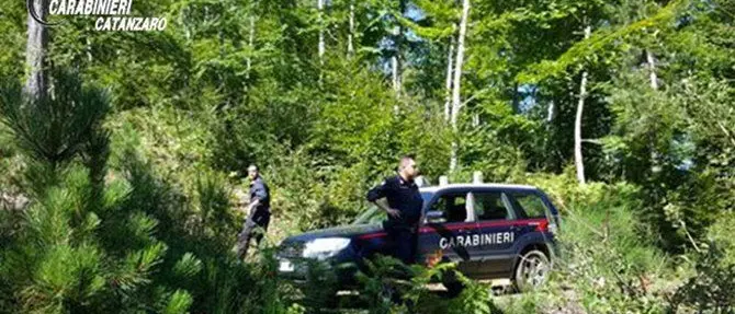 Catanzaro, si inoltrano nel bosco alla ricerca di funghi e si perdono