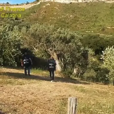 Truffa all’Inps, scoperti 923 lavoratori fantasma. Tra questi anche un latitante - VIDEO