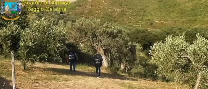 Truffa all’Inps, scoperti 923 lavoratori fantasma. Tra questi anche un latitante - VIDEO