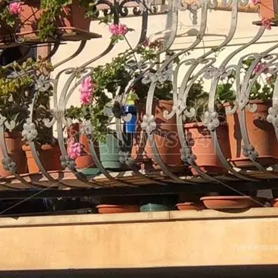 Terrore e sangue tra Limbadi e Nicotera, si cercano eventuali complici