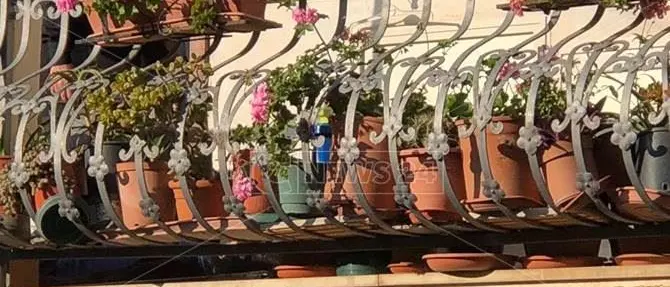 Terrore e sangue tra Limbadi e Nicotera, si cercano eventuali complici