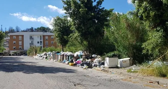 Aree degradate a Cosenza, la Commissione ambiente in via degli Stadi