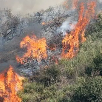 Girifalco, incendio nel centro storico domato dai vigili del fuoco