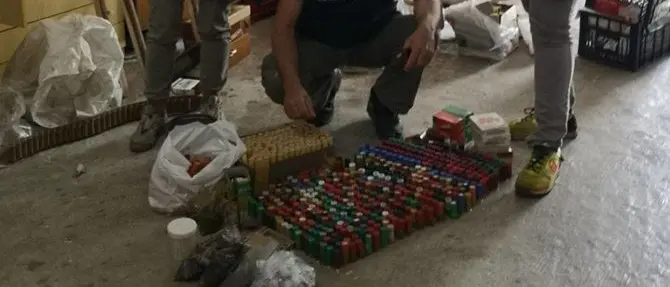 Reggio, operazione antibracconaggio: sette denunce