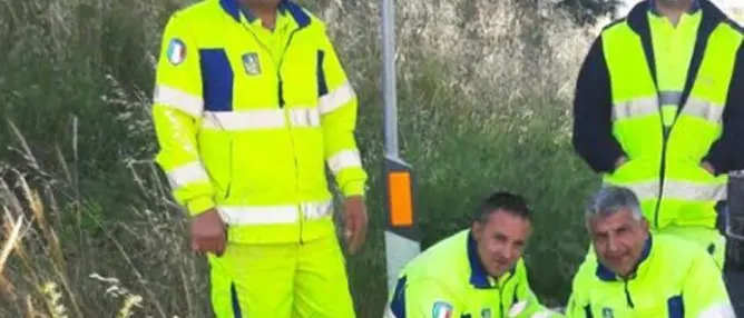 Chiusi in una busta e lanciati dal cavalcavia, salvati 4 cuccioli