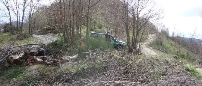 Taglio di bosco irregolare, una denuncia e 60 mila euro di multa